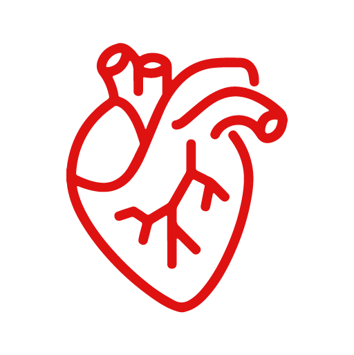 Cardíaca, Vascular y Endovascular - Cardiva