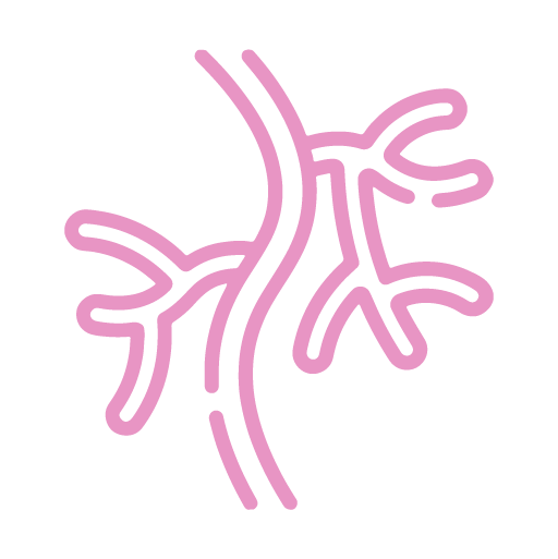 Cardíaca, Vascular y Endovascular - Cardiva