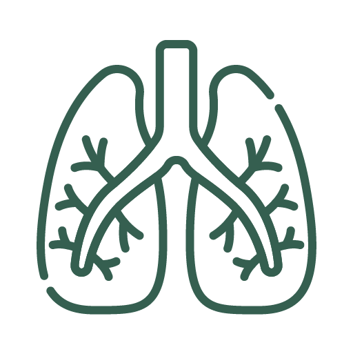 Cardíaca, Vascular y Endovascular - Cardiva